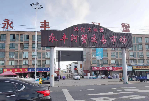 图片3
