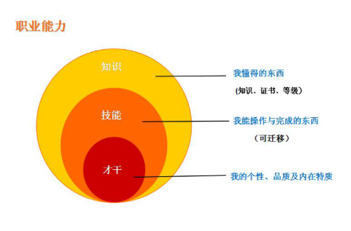 图片11