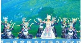 第二届全国乡村振兴职业技能大赛闭幕