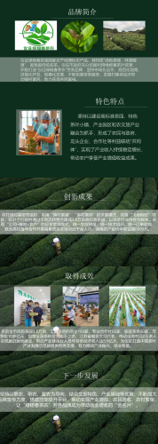 仪征绿杨春茶农