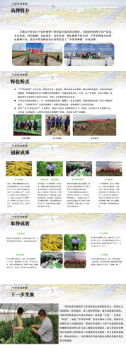 宁夏平罗育种师