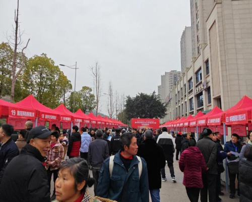 图片157