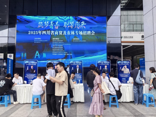 图片5
