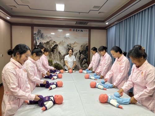 益阳桃花江保姆+家政劳务品牌照片+1