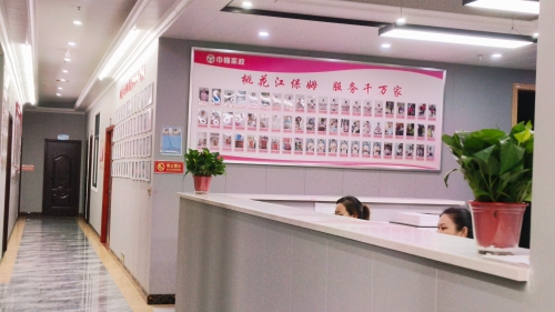 益阳桃花江保姆+家政劳务品牌照片+6