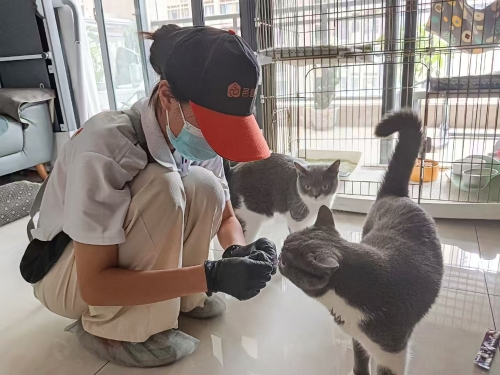 “邑管家”家政劳务品牌照片1