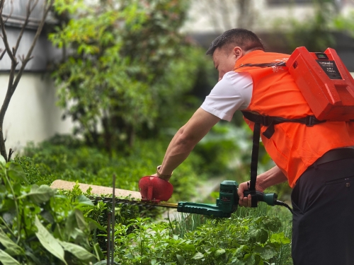 “楚姐姐巾帼家政”家政劳务品牌照片2