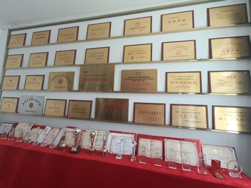 1、荣誉展示 (2)